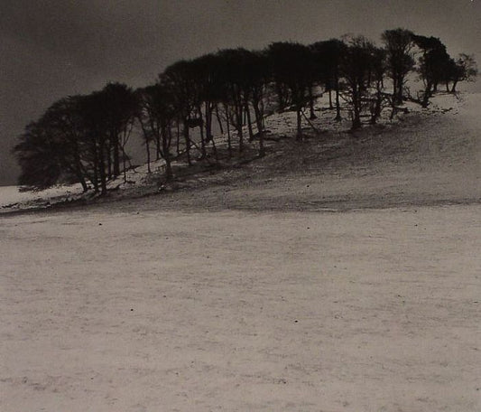 LAST DAYS - SATELLITE