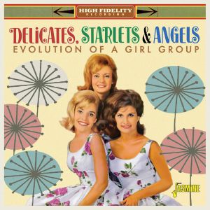 Delicates, Starlets & Angles - Evolution Of A Vocal Group [CD]