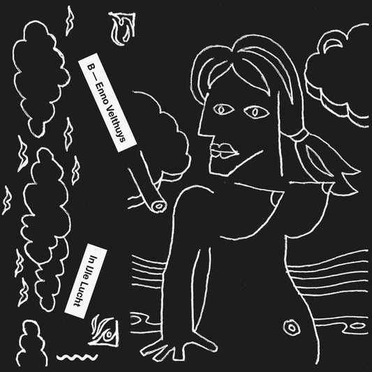 HESSEL VELDMAN & ENNO VELTHUYS - BOEZEM BALLET / IN IJLE LUCHT