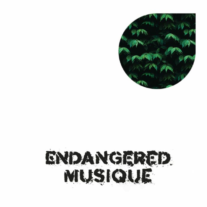 Jose CHINGA - Tree House Rhythms