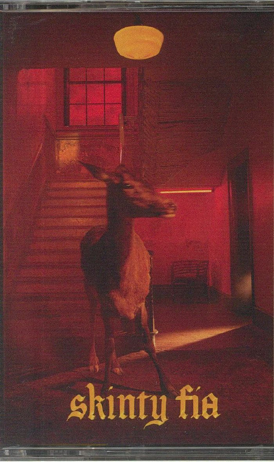 FONTAINES DC - Skinty Fia [Cassette]