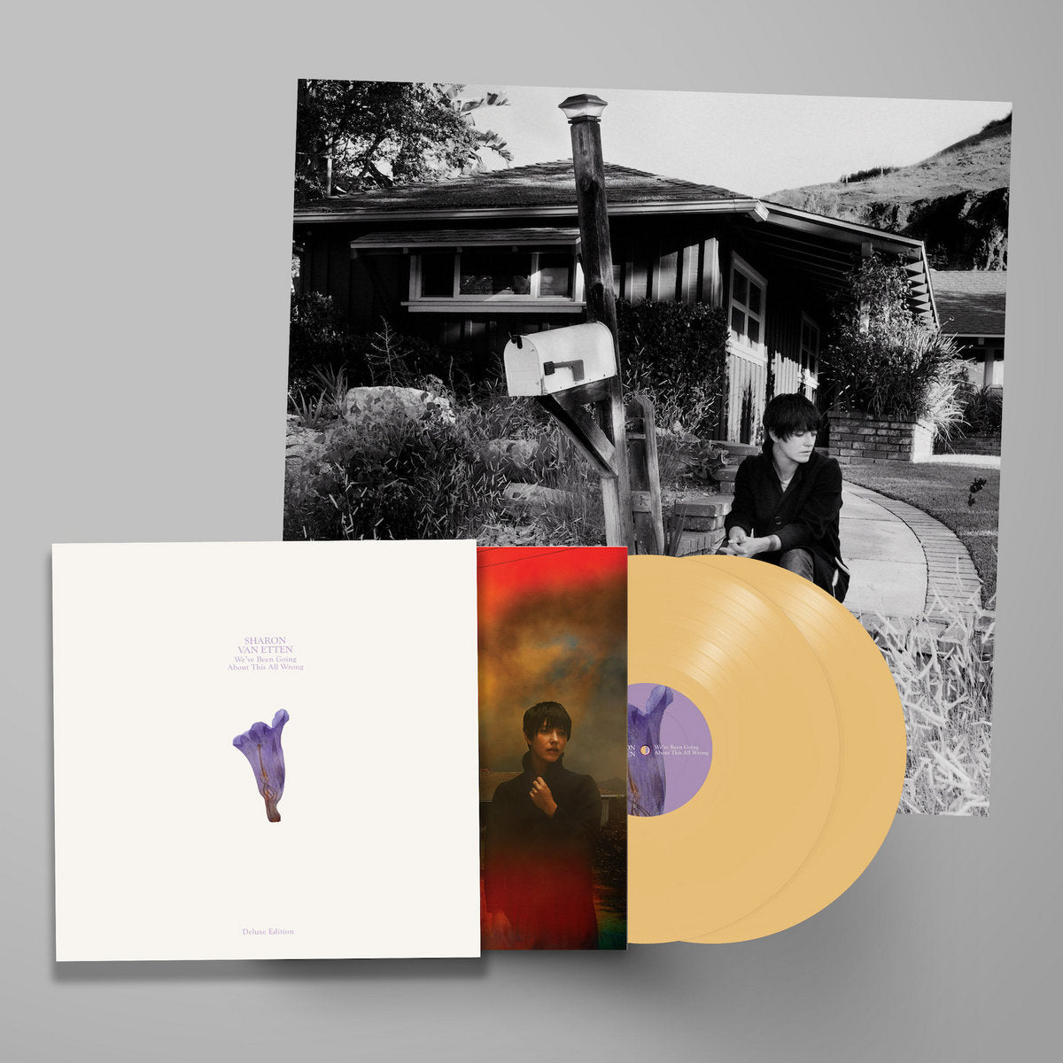 Sharon Van Etten - We've Been Going About This All Wrong (Deluxe Edition) [Custard vinyl]