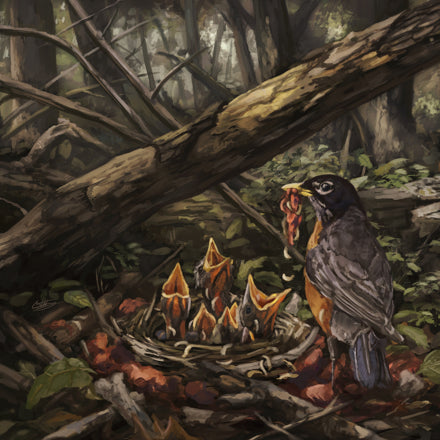 The Acacia Strain - Step Into The Light [CD]