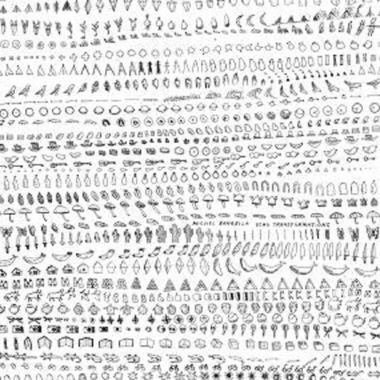 Michel BANABILA - Echo Transformations