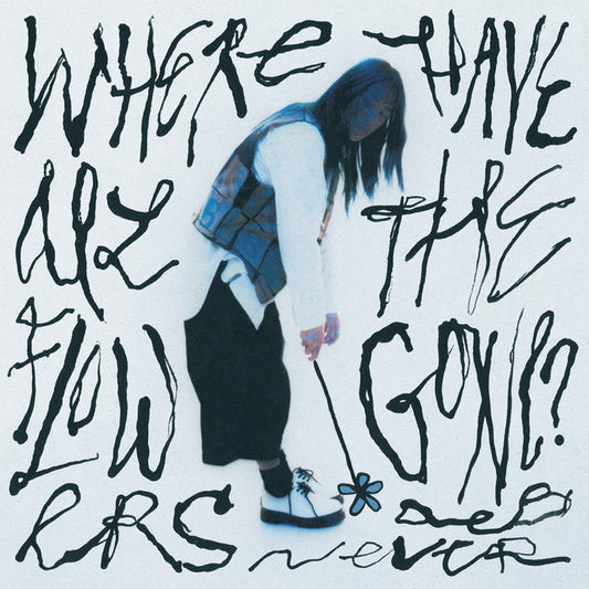 Deb Never - Where Have All The Flowers Gone?