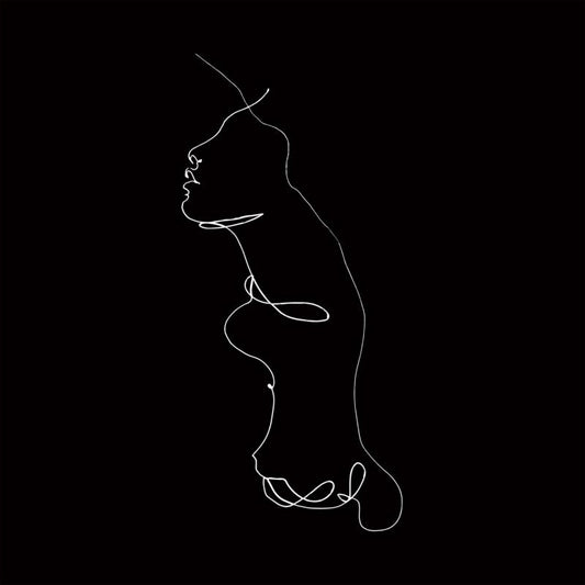 Jon Gomm - The Faintest Idea [LP]