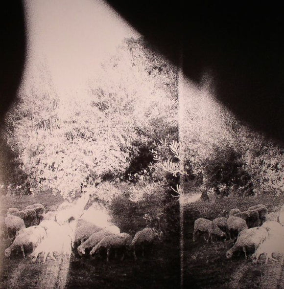 GODSPEED YOU! BLACK EMPEROR - ASUNDER, SWEET AND OTHER DISTRESS