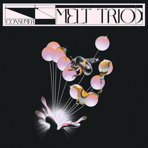 Melt Trio - Consumer [CD]