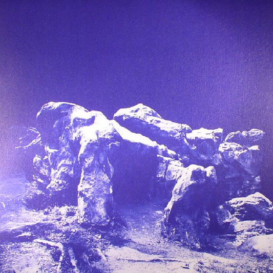 Assel - This Will Not Stand