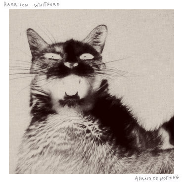 Harrison Whitford - Afraid of Nothing [CD]