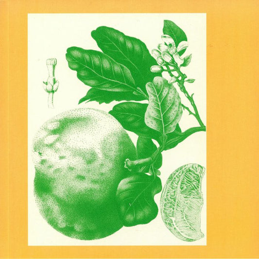 Sunny Balm - Eucalypt