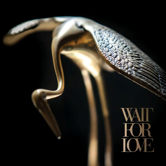 Pianos Become The Teeth - Wait For Love [2LP CLEAR BLACK GALAXY]