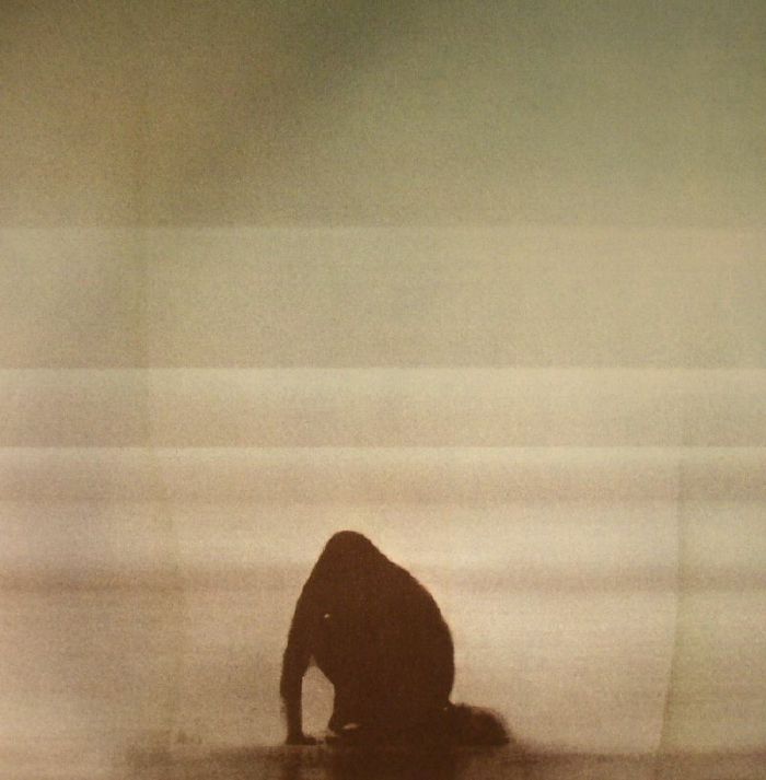 Foals - What Went Down (1LP/Gat)