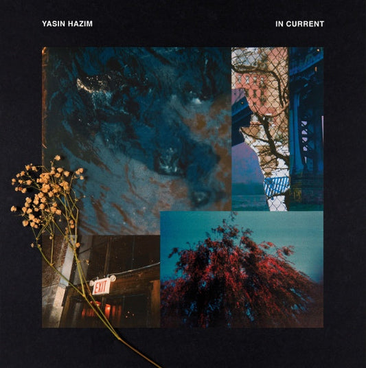 YASIN HAZIM - IN CURRENT