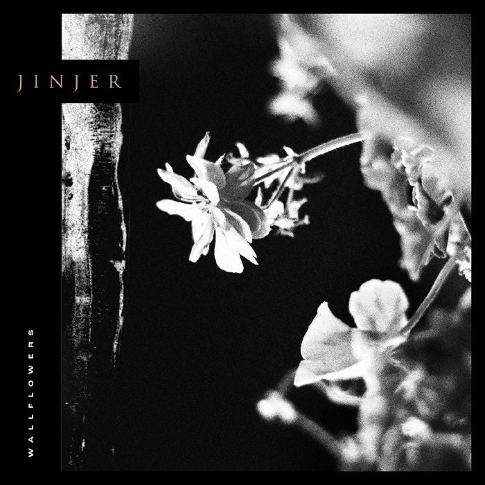 Jinjer - Wallflowers [CD]