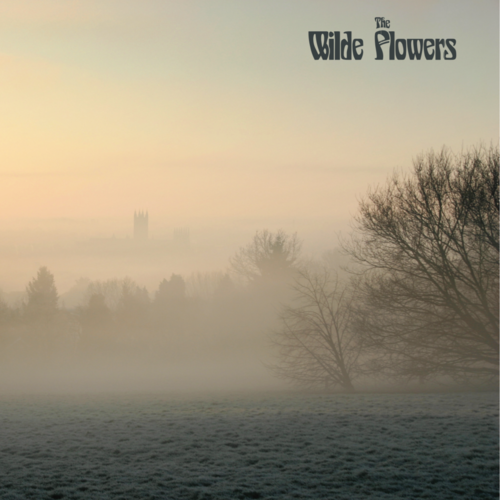 WILDE FLOWERS - The Wilde Flowers