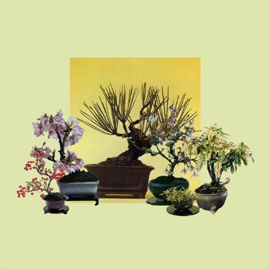 ROSALES - Woven Songs