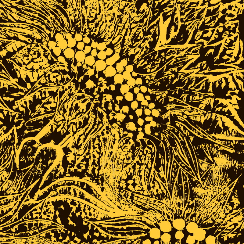 Amanda Whiting - Little Sunflower