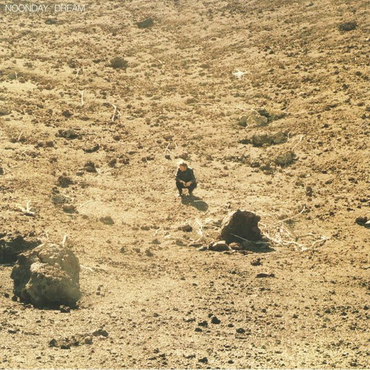 BEN HOWARD - NOONDAY DREAM