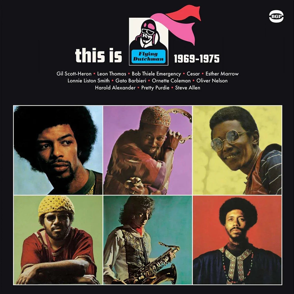 VARIOUS ARTISTS - THIS IS FLYING DUTCHMAN 1969-1975 [2LP]