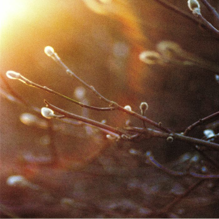 THE ARIES PROJECT - ENGLISH GHOSTS