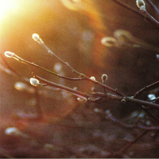 THE ARIES PROJECT - ENGLISH GHOSTS