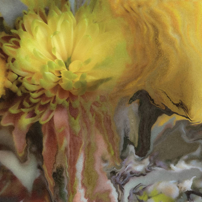 Parker Millsap - Wilderness Within You [CD]