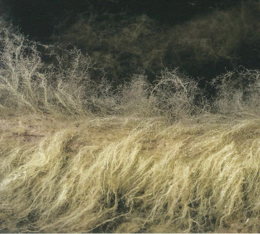 LYONEL BAUCHET - THE DIVER