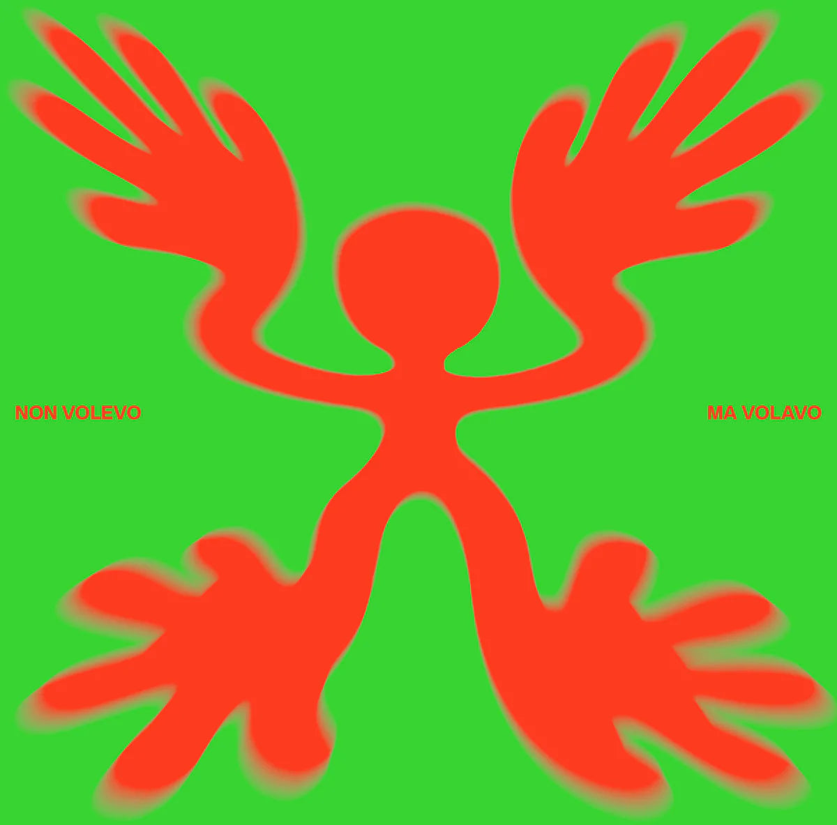 VARIOUS ARTISTS - NON VOLEVO MA VOLAVO