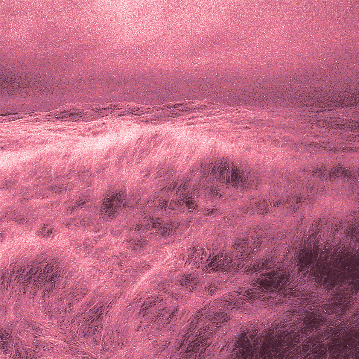Bait - Sea Change [Limited Edition Transparent Purple vinyl]