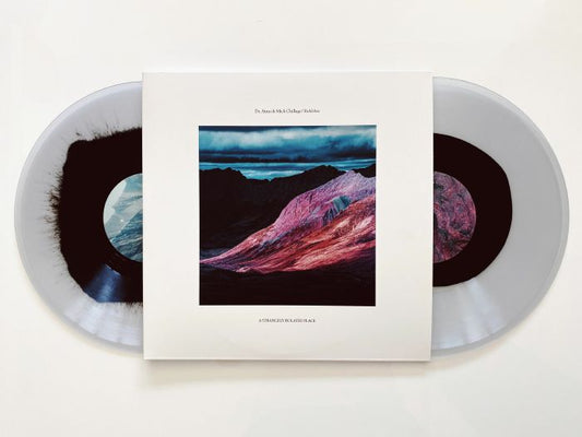 DR ATMO / MICK CHILLAGE - Ruhleben [2LP]