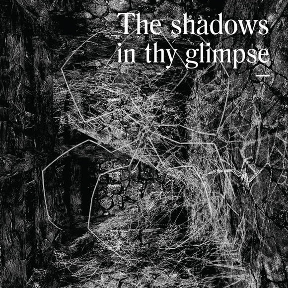 Various Artists - The Shadows In Thy Glimpse: Bedouin Records Selected Discography 2016-2018