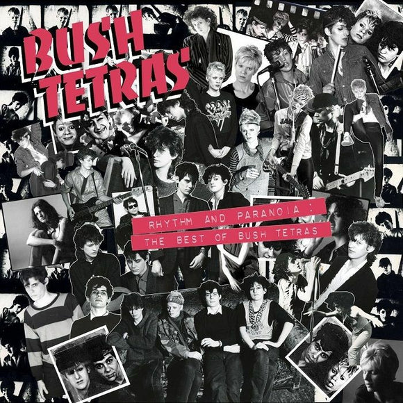 Bush Tetras - Rhythm and Paranoia: The Best of Bush Tetras [Rigid Boxset 3x180g vinyl w/46 page booklet]