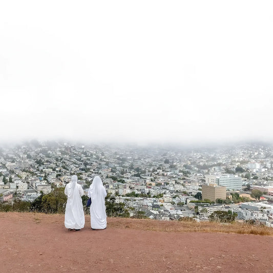 Death Cab for Cutie - Asphalt Meadows [Pink Vinyl]