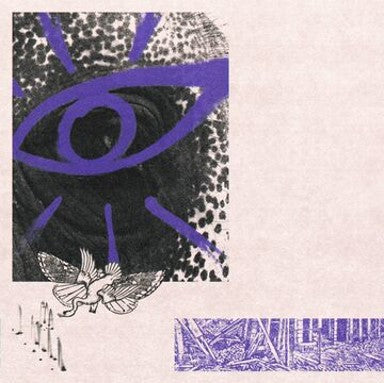 Hippo Campus - LP3 [Cassette]