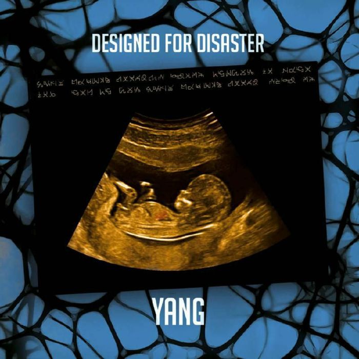 YANG - DESIGNED FOR DISASTER [CD]
