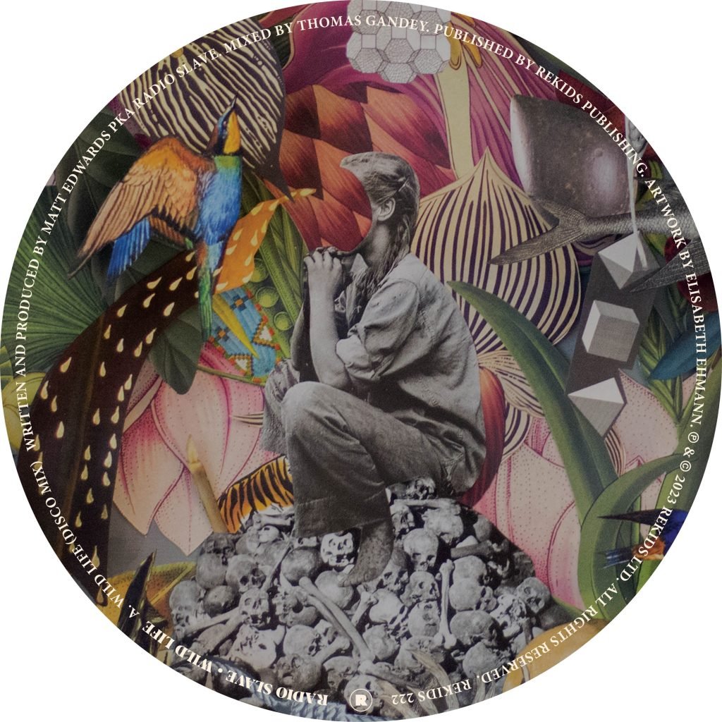 Radio Slave - Wild Life