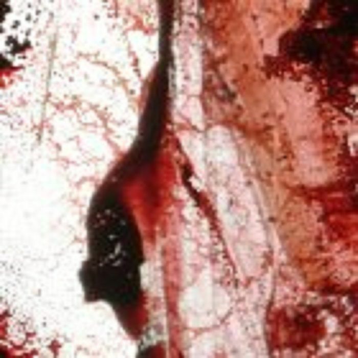 Purgate - Haeresis