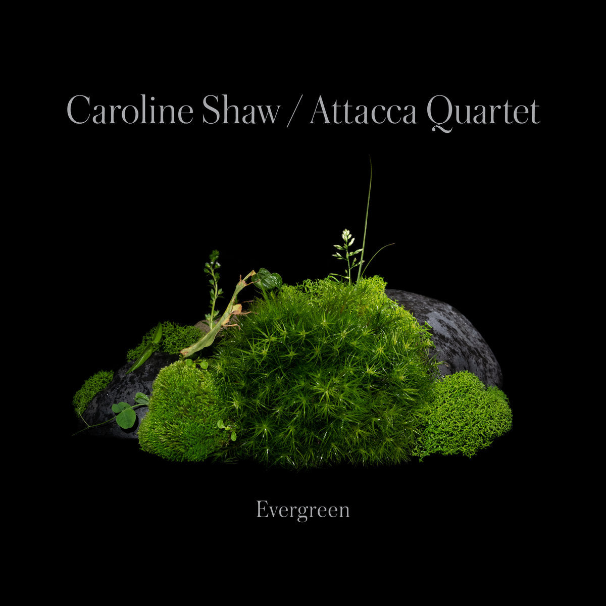 Caroline Shaw & Attacca Quartet - Caroline Shaw: Evergreen [Softpack]