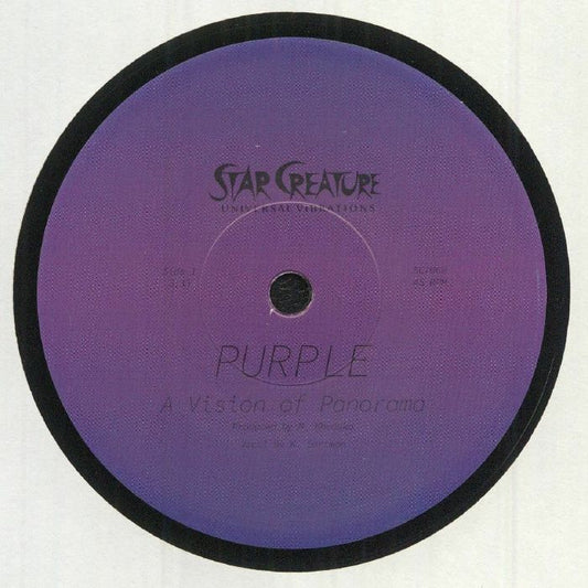 A Vision Of Panorama - Purple