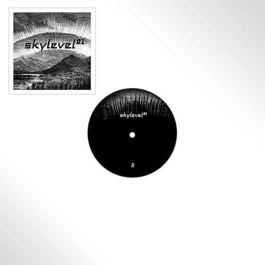 VA - SKYLEVEL01
