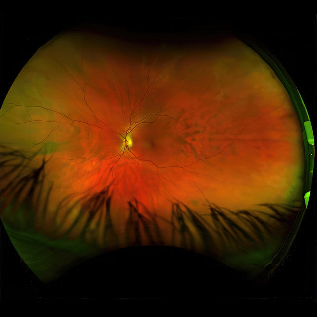 Greg Puciato - Mirrorcell [CD]