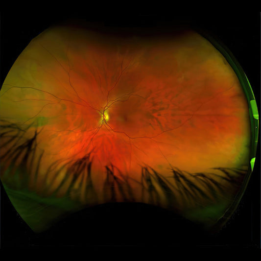 Greg Puciato - Mirrorcell [CD]