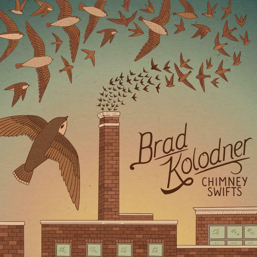 Brad Kolodner - Chimney Swifts