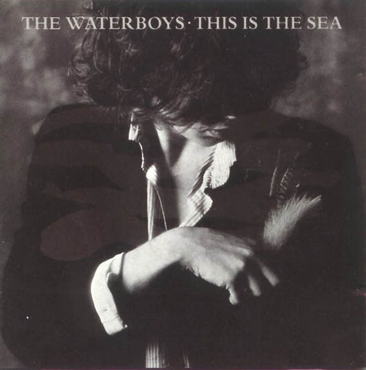 THE WATERBOYS - THIS IS THE SEA