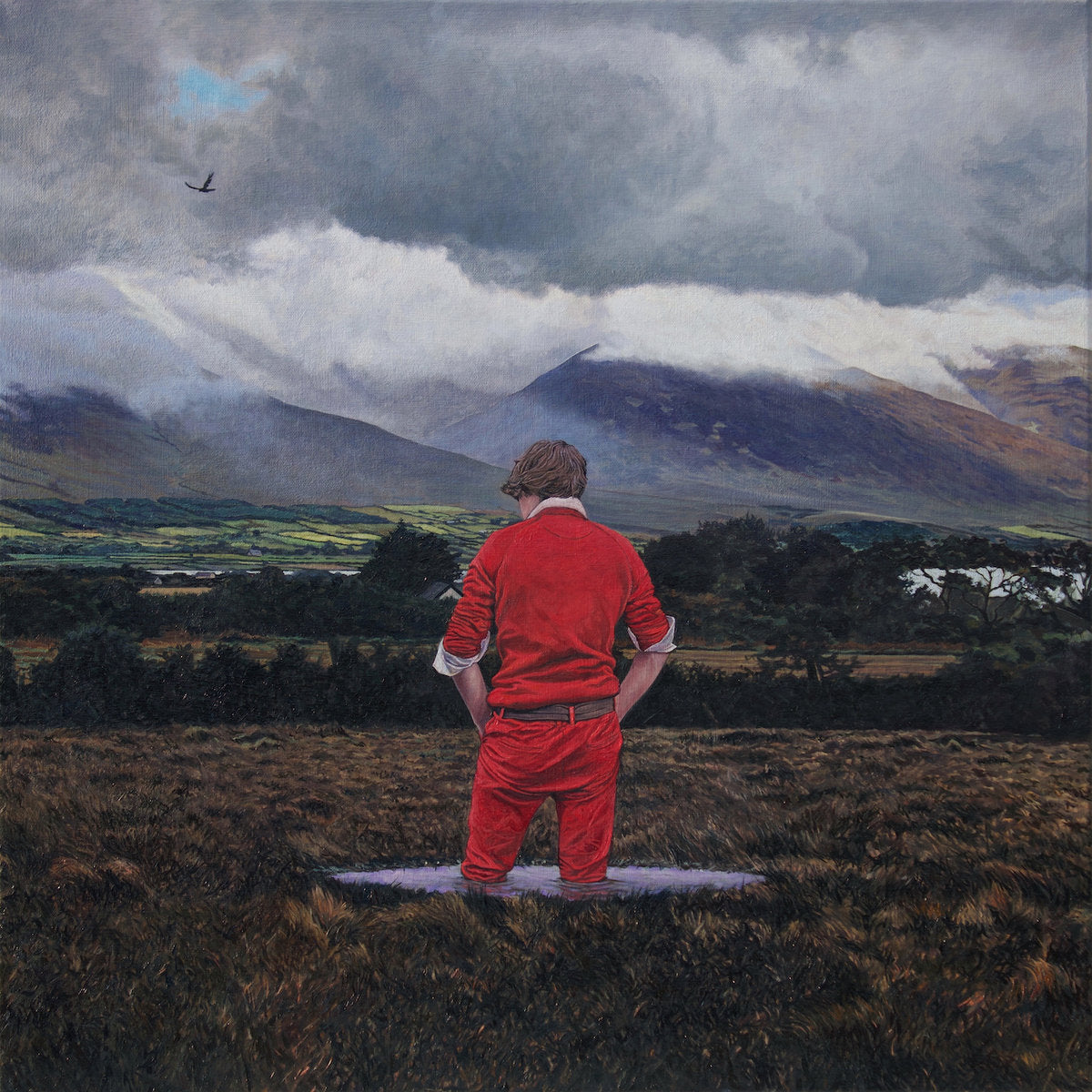 Junior Brother	- The Great Irish Faminea [2LP Red]