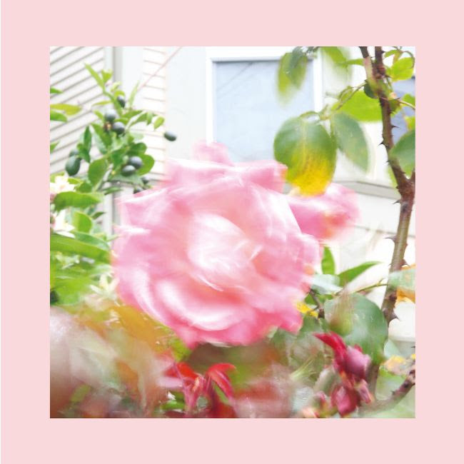 The Reds, Pinks and Purples - Summer at Land's End [LP]