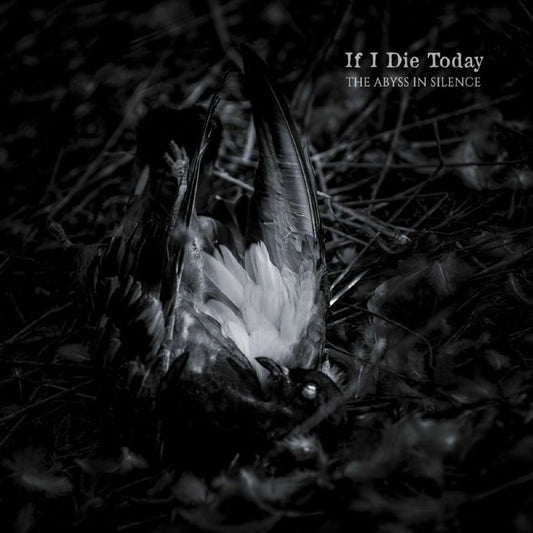 If I Die Today - The Abyss In Silence