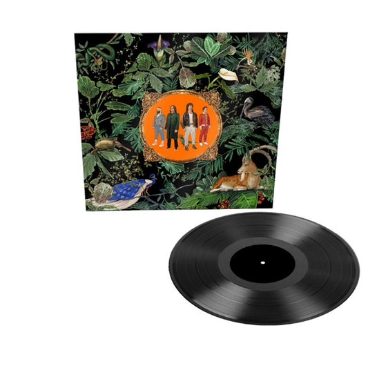 Don Broco - Amazing Things [Black 140g LP]