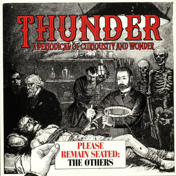 Thunder - Please Remain Seated - The Others (RSD 2019)
